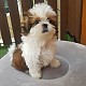 http://www.ssagae-ssagae.co.kr/data/file/b0103/thumb-2040999458_ayEsp0lP_4e8cb032a1e99bde149d07e33c6b5afbaf410ba0_80x80.jpg