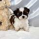 http://www.ssagae-ssagae.co.kr/data/file/b0103/thumb-237143731_PEIbVUzm_52877a6bad48f91bbfda70af222f5491d358c8dc_80x80.jpg