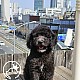 http://www.ssagae-ssagae.co.kr/data/file/b0103/thumb-3731641365_nP1e2dYJ_86a6720ece709bee0b22e98437e1d4e4d30c9f1b_80x80.jpg