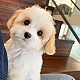 http://www.ssagae-ssagae.co.kr/data/file/b0103/thumb-3731641422_3TOer9SU_c0bef5dcfed3d5b10d20369a38ad3d699bd69d35_80x80.jpg