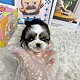 http://www.ssagae-ssagae.co.kr/data/file/b0103/thumb-3739936228_GMn2LaVF_f162184101f3f89767a27e2137c888db1010f7e8_80x80.jpg