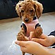 http://www.ssagae-ssagae.co.kr/data/file/b03/thumb-3667683833_KhipnoB1_d592c64f311145da4ca38db5227d6da91a0be67f_80x80.jpg